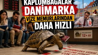 Kaplumbağalar Danimarka Schengen vizesi memurlarından daha hızlı 2 kappen2 Kaplumbağalar Danimarka Schengen vizesi memurlarından daha hızlı