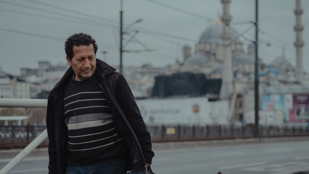 Viajar a Turquía con mascotas: hombre paseando a su perro en Estambul