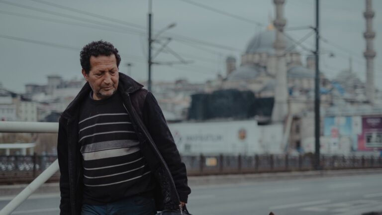 Viajar a Turquía con mascotas: hombre paseando a su perro en Estambul